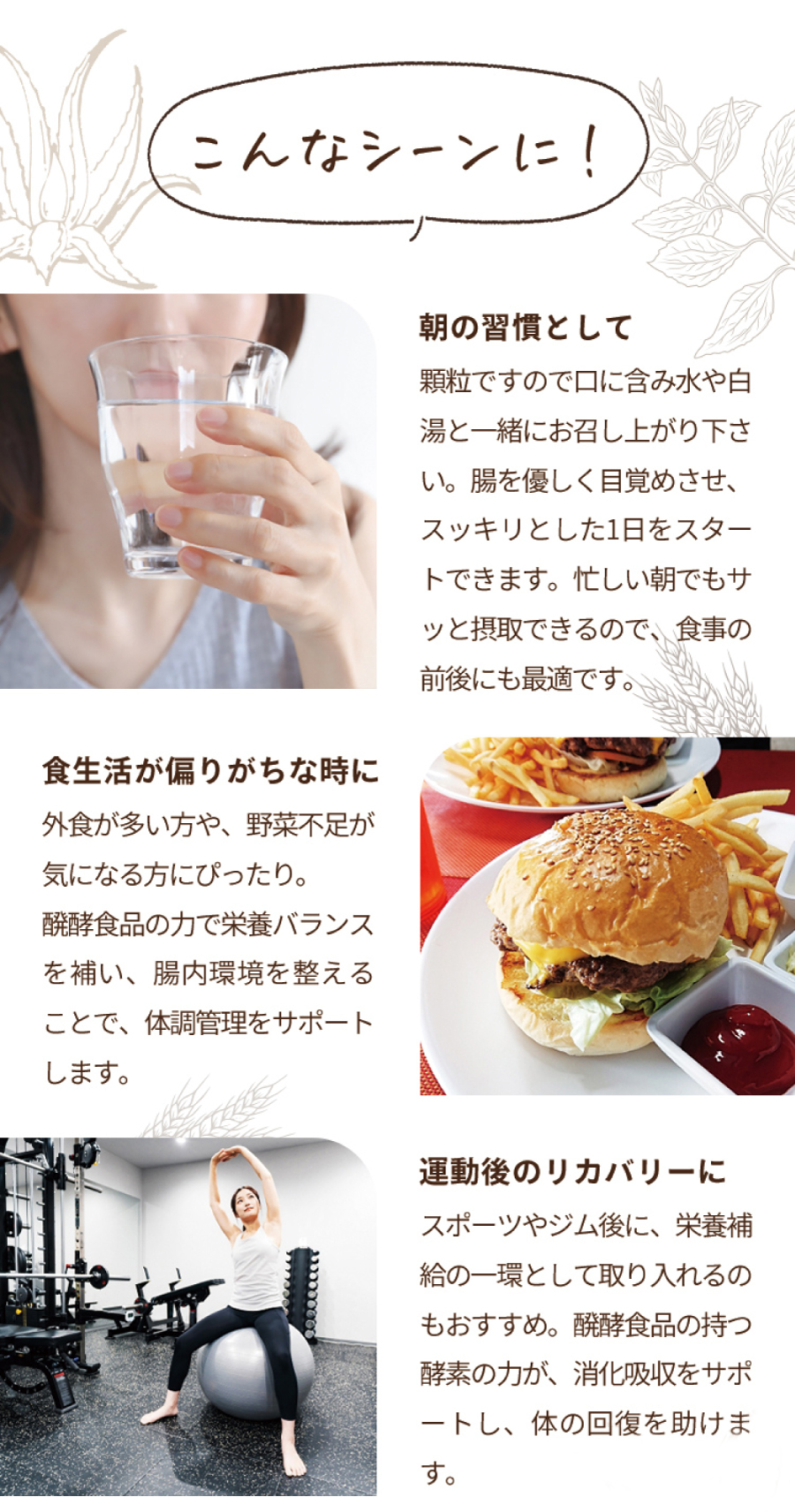 お召し上がり方(タイミング)